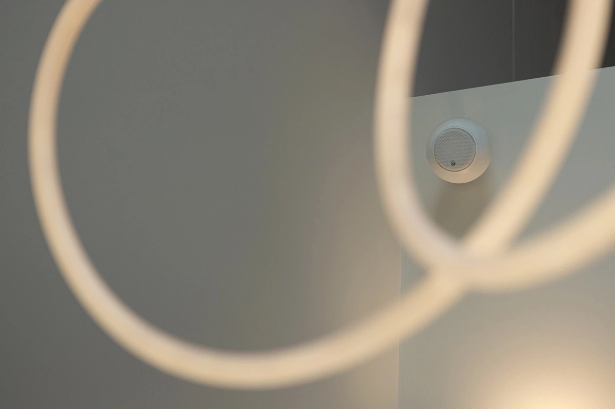 lutron-installations-the-cotswolds-speaker